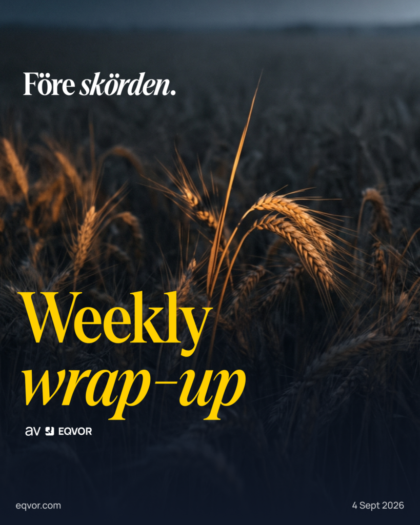 Weekly Wrap-Up 4 september 2026 — Före skörden. Oskuret sädesfält i skymning.